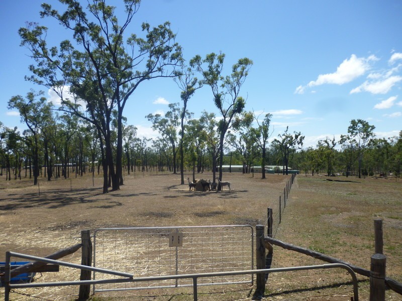 66 Dodson Lane, Cawarral QLD 4702