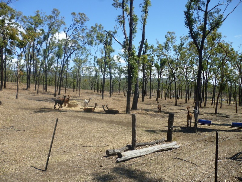 66 Dodson Lane, Cawarral QLD 4702