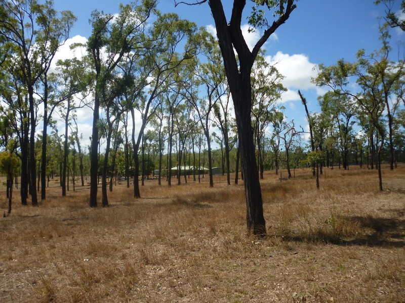 66 Dodson Lane, Cawarral QLD 4702