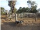 139 Von Allmen Road, Pink Lily QLD 4702