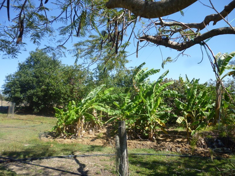 42 Christiansen Road, Marmor QLD 4702