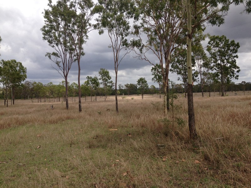 198 Boys Road, Alton Downs QLD 4702