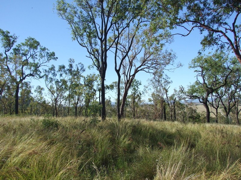 730 Upper Ulam Road, Bajool QLD 4699