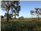 Lot 157 Connors Road, Stanwell QLD 4702
