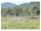 55799 Bruce Highway, Raglan QLD 4697
