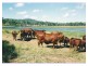55799 Bruce Highway, Raglan QLD 4697