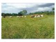 55799 Bruce Highway, Raglan QLD 4697