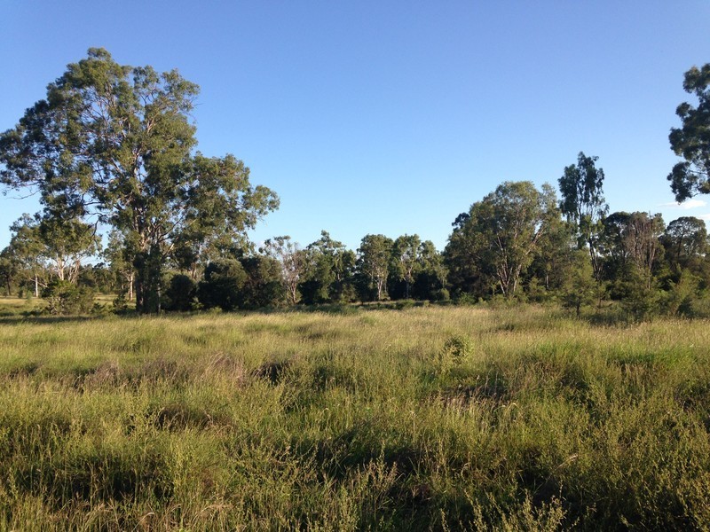 891 Stanwell Waroula Road, Stanwell QLD 4702