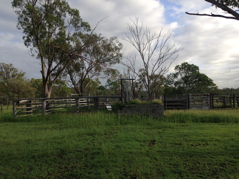 557 Bishop Road, Garnant QLD 4702
