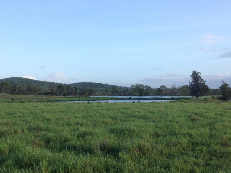 557 Bishop Road, Garnant QLD 4702