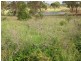 557 Bishop Road, Garnant QLD 4702