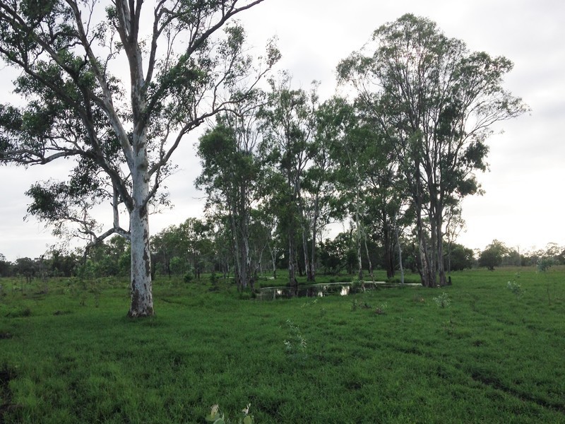 557 Bishop Road, Garnant QLD 4702
