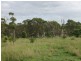 557 Bishop Road, Garnant QLD 4702