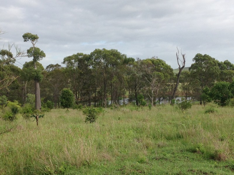 557 Bishop Road, Garnant QLD 4702
