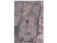 557 Bishop Road, Garnant QLD 4702