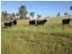 941 Stanwell-Waroula Road, Stanwell QLD 4702