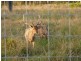 308 Coowonga Road, Coowonga QLD 4702