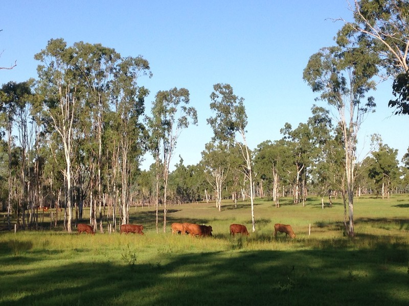 166 Sherwins Road, Jardine QLD 4702