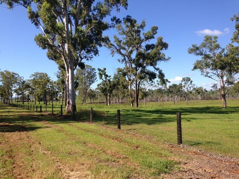 166 Sherwins Road, Jardine QLD 4702