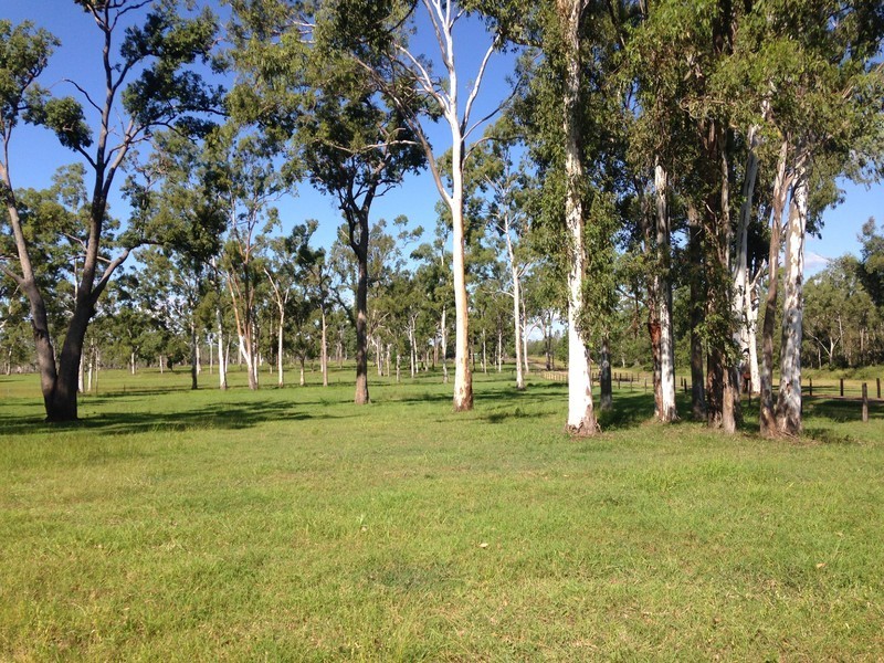 166 Sherwins Road, Jardine QLD 4702