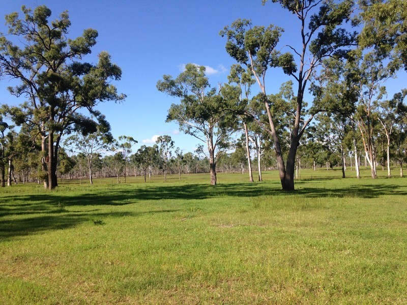 166 Sherwins Road, Jardine QLD 4702