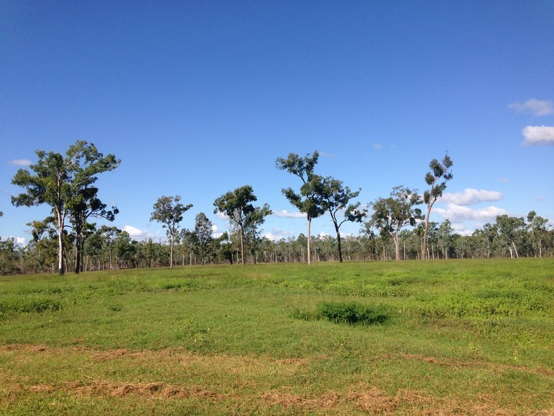 166 Sherwins Road, Jardine QLD 4702