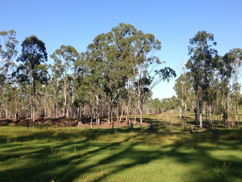 166 Sherwins Road, Jardine QLD 4702