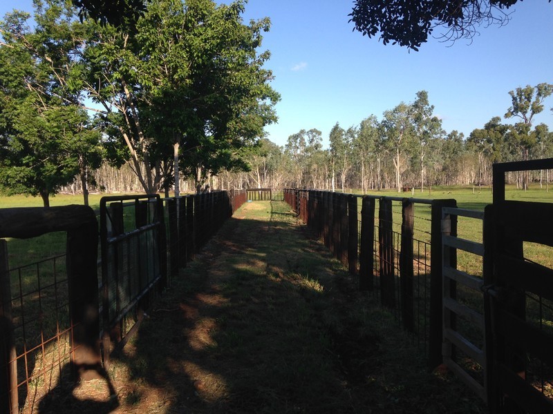 166 Sherwins Road, Jardine QLD 4702