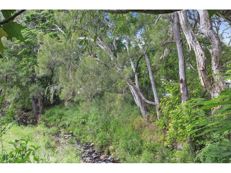 209 Wilson Street, Frenchville QLD 4701