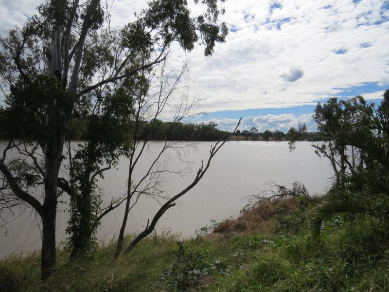 109 Larcombe Street, Kawana QLD 4701