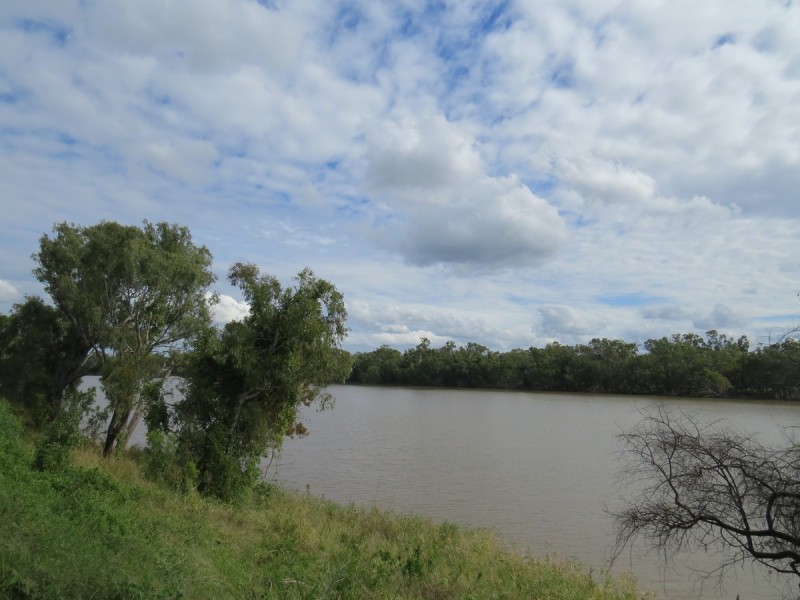 109 Larcombe Street, Kawana QLD 4701