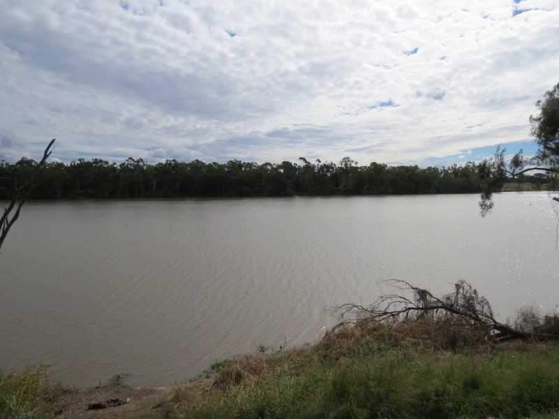 109 Larcombe Street, Kawana QLD 4701