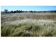 320 Nicholson Road, Alton Downs QLD 4702
