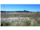 320 Nicholson Road, Alton Downs QLD 4702