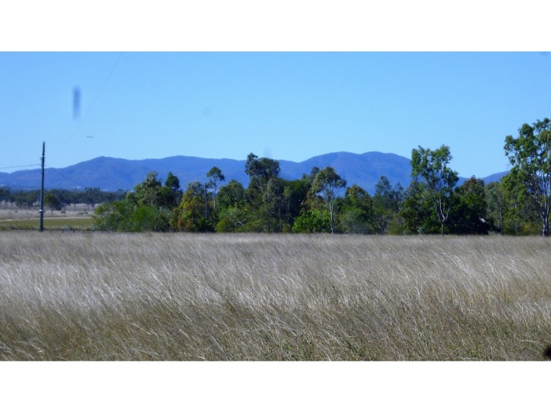 320 Nicholson Road, Alton Downs QLD 4702