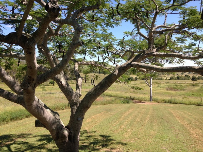 955 Hourigan Creek Road, Raglan QLD 4697