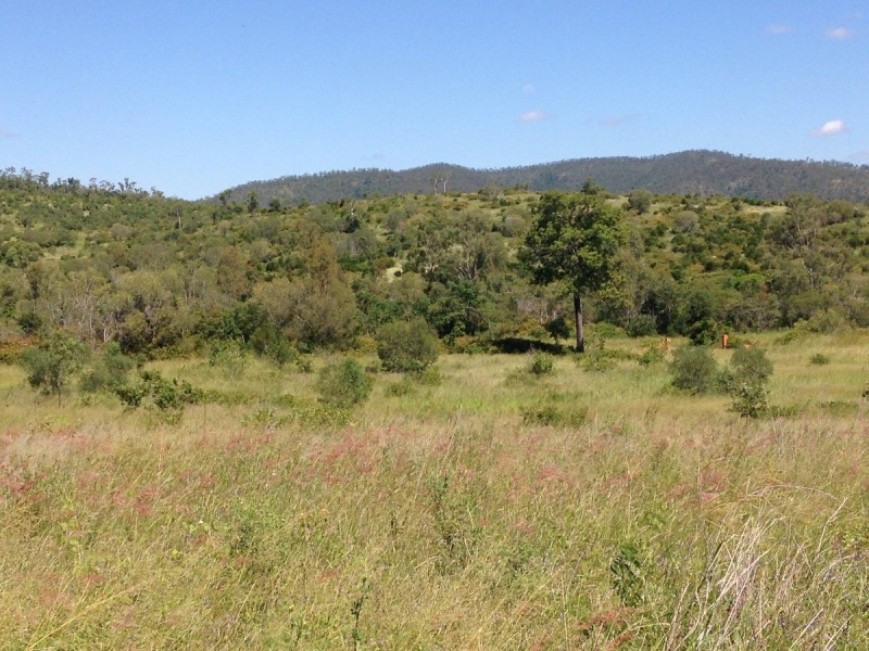 955 Hourigan Creek Road, Raglan QLD 4697