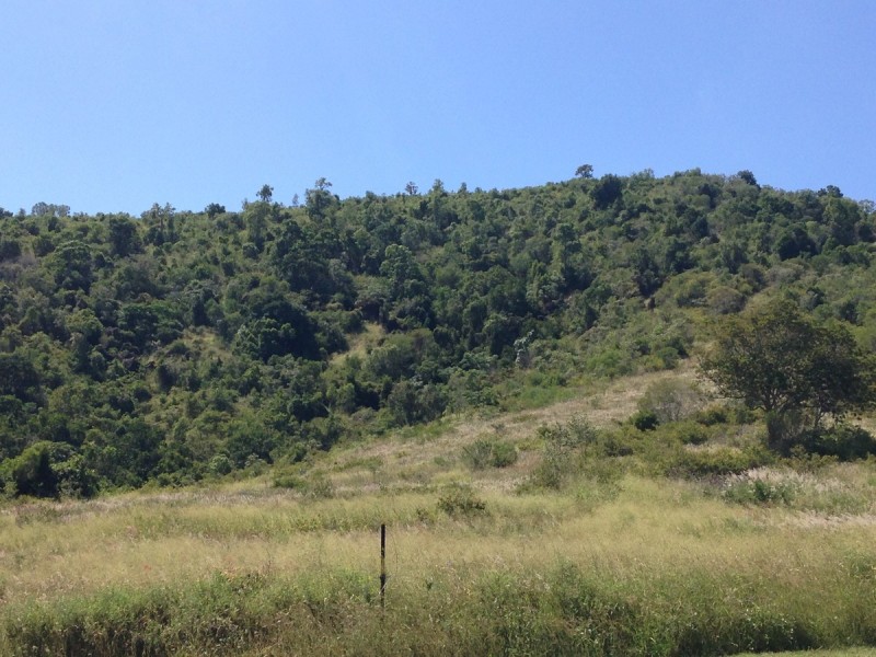 955 Hourigan Creek Road, Raglan QLD 4697