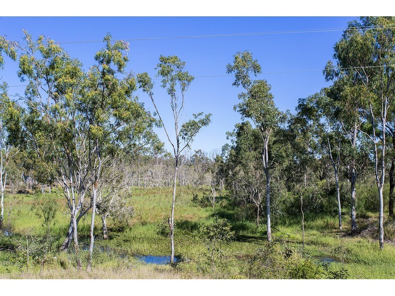 77 Nerimbera School Road, Nerimbera QLD 4701