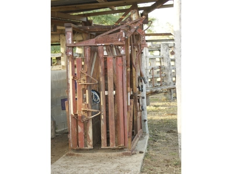 151 Nine Mile Road, Alton Downs QLD 4702