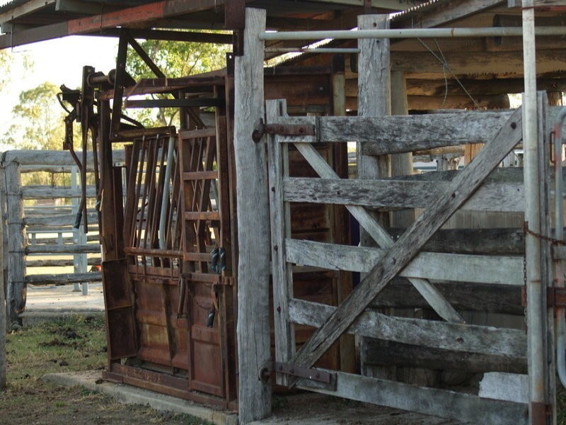 151 Nine Mile Road, Alton Downs QLD 4702