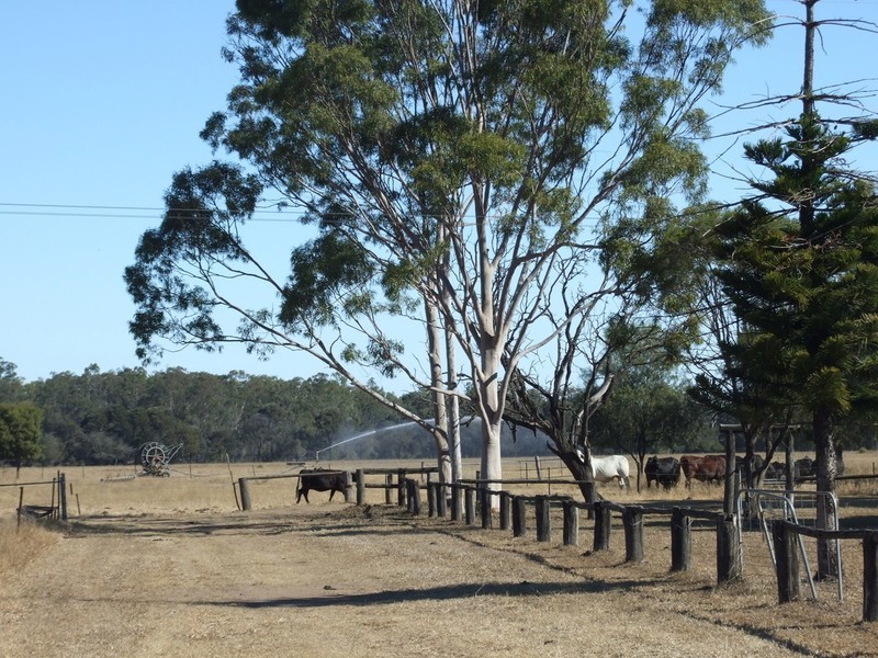 665 Wowan-Dululu Road, Wowan QLD 4702