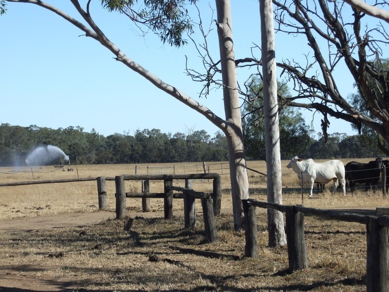 665 Wowan-Dululu Road, Wowan QLD 4702