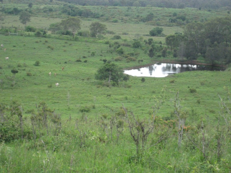 610 North Langmorn Road, Marmor QLD 4702