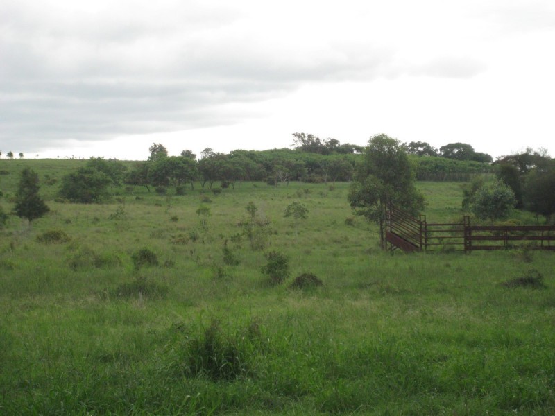 610 North Langmorn Road, Marmor QLD 4702