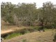 213 Sandy Creek Road, Bushley QLD 4702