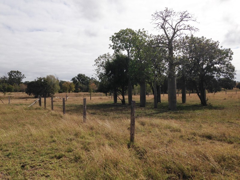 384 Brickworks Road, Bushley QLD 4702