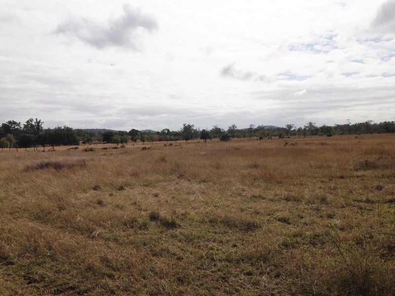 384 Brickworks Road, Bushley QLD 4702