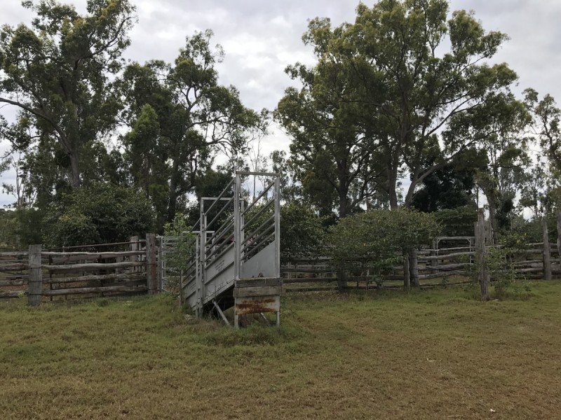 557 Hanschen’s Road, Jardine QLD 4702