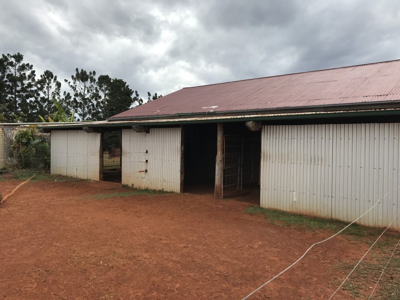 557 Hanschen’s Road, Jardine QLD 4702
